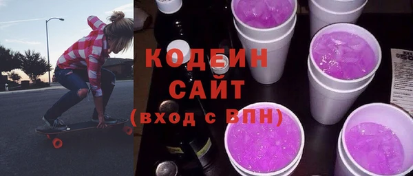 МДПВ Вяземский