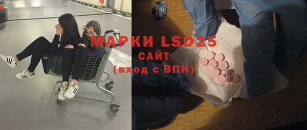 МДПВ Вяземский