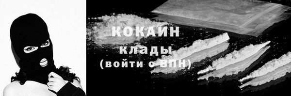МДПВ Вяземский