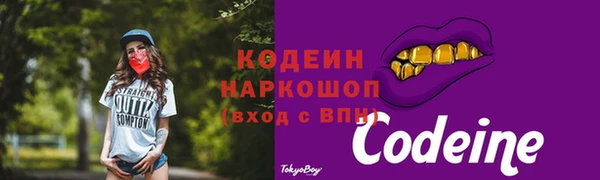 МДПВ Вяземский