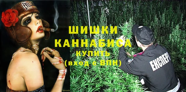 стаф Вязники