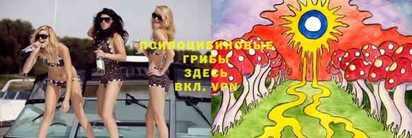 МДПВ Вяземский