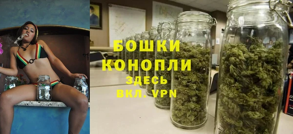 стаф Вязники