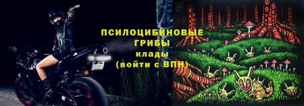 стаф Вязники