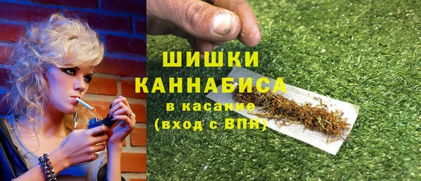 МДПВ Вяземский
