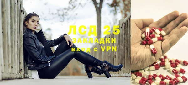 стаф Вязники