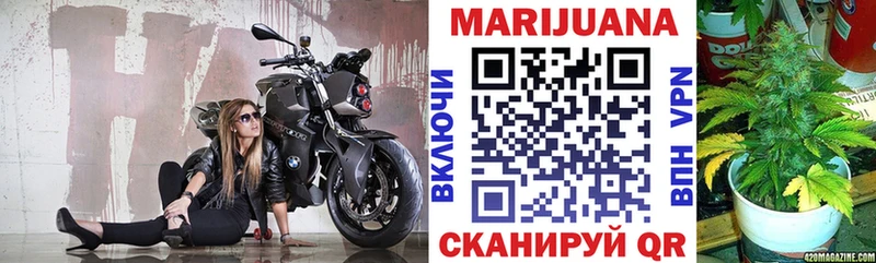 МАРИХУАНА план  Жиздра 